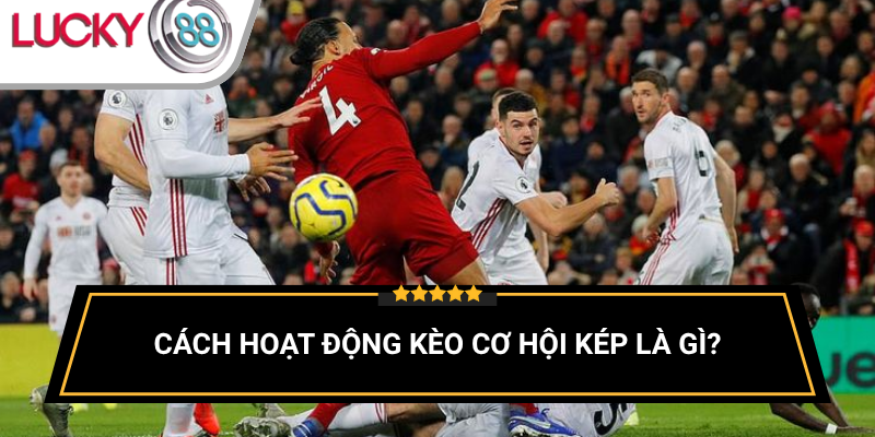 mo-hinh-minh-hoa-keo-double-chance