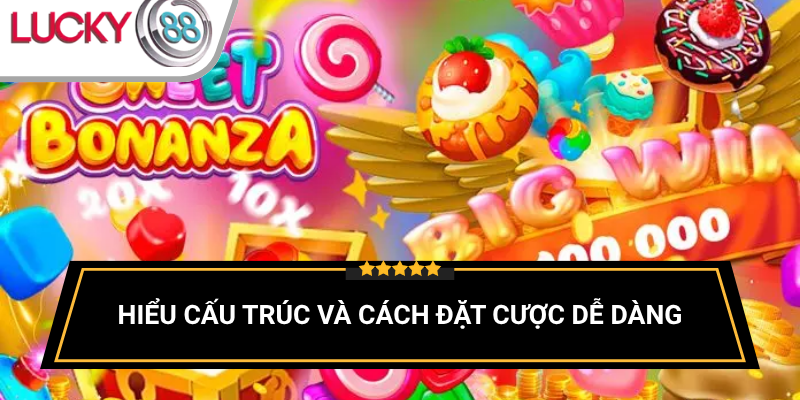 cau-truc-ban-choi-va-cach-dat-cuoc