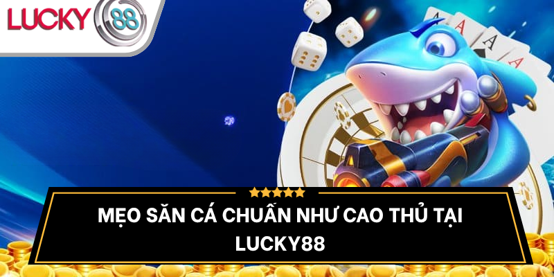meo-san-ca-lucky88-chinh-xac-toi-uu
