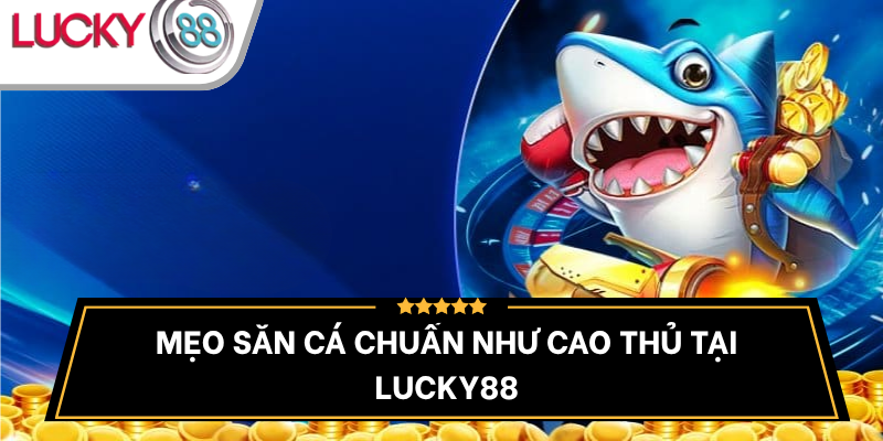 meo-san-ca-lucky88-chinh-xac-toi-uu