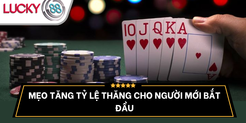 meo-tang-ty-le-thang-cho-nguoi-choi-moi