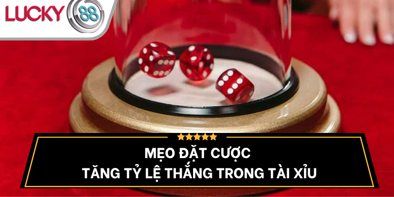 meo-dat-cuoc-tang-ty-le-thang-tai-xiu