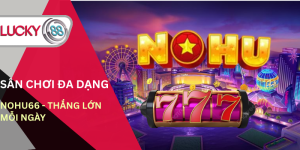 san-choi-da-dang-nohu66-thang-lon-moi-ngay
